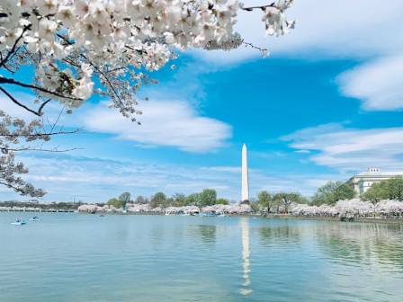 The Washington Monument: An Iconic Tribute to a Founding Father