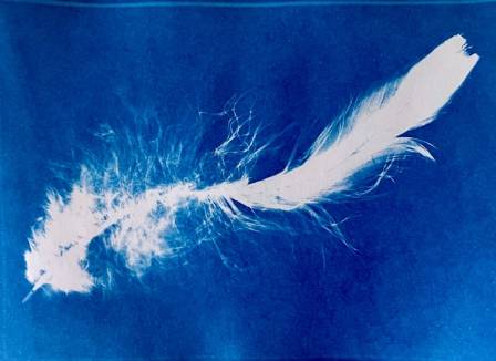 Comprehensive Guide to Artistic Painting on Feathers