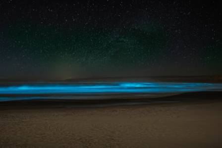 Incredible Places Where the Ocean Glows